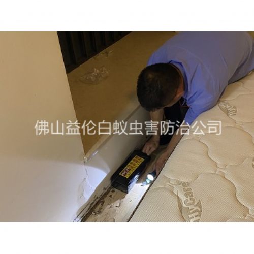 桂城家居白蚁灭治工程