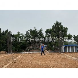 西樵新建地基预防白蚁工程
